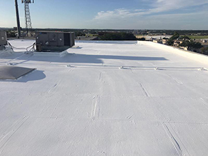 Roof Coating Greenwood, IN 1