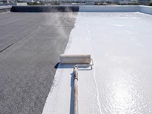Flat Roof Sealing Indianapolis, IN 1